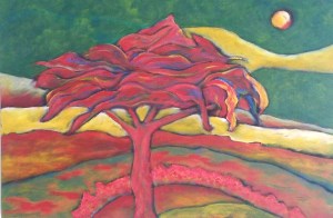 Flamboyan ©Renato Chacón