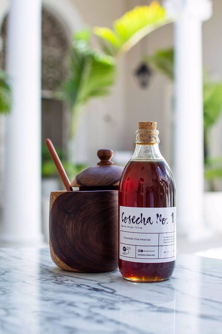 melipona and queen bee honey in Yucatan