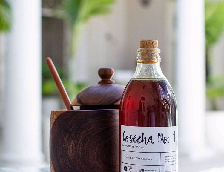 melipona and queen bee honey in Yucatan